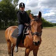 Anden særlig race atlast avalon slogt 