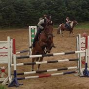 Anden særlig race atlast avalon slogt 