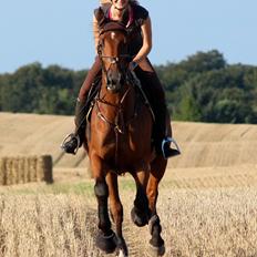 Holstener Møldams Columbus