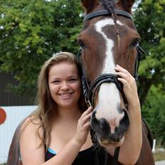 Barockpinto Runnerboy