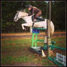 Anden særlig race Müseli<3 ( bornholms og klub mester )