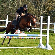 Standardbred (US) DANIELLE <3!