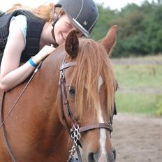 Anden særlig race Findus