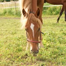 Traver Amazing Fireworks