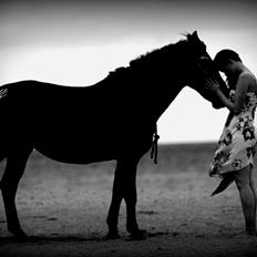 Anden særlig race Flicka | Thanks for the memories <3