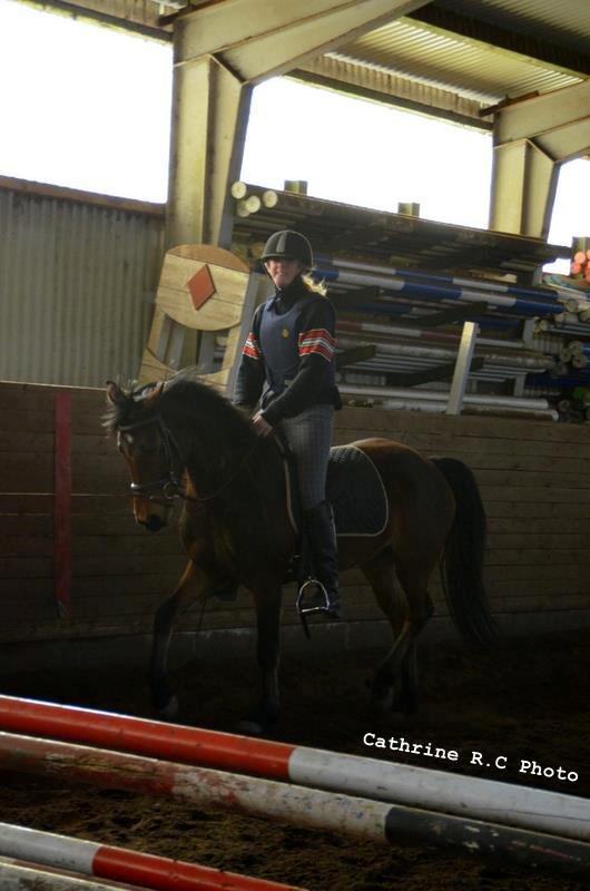 DSP Hesselholts Emily - SOLGT billede 16