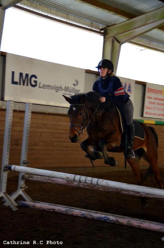 DSP Hesselholts Emily - SOLGT - 1. eller 2. gang til springning billede 17