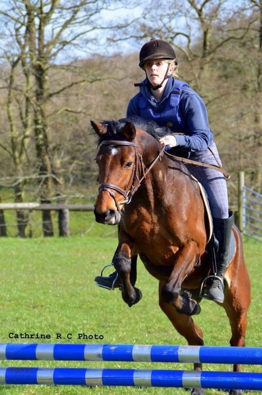 DSP Hesselholts Emily - SOLGT billede 18