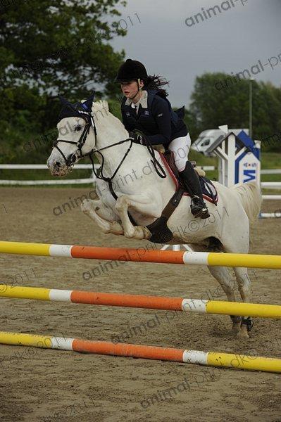 Anden særlig race Fantazy billede 24