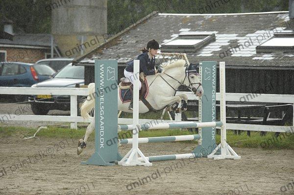 Anden særlig race Fantazy billede 25