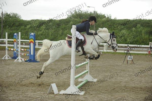 Anden særlig race Fantazy billede 26