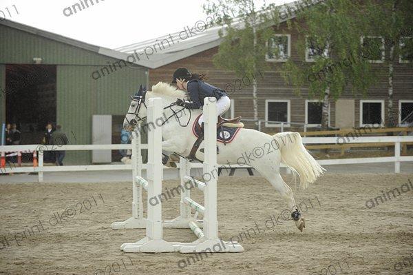 Anden særlig race Fantazy billede 27