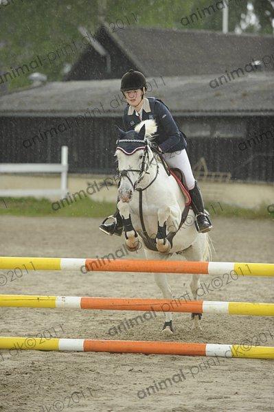 Anden særlig race Fantazy billede 28