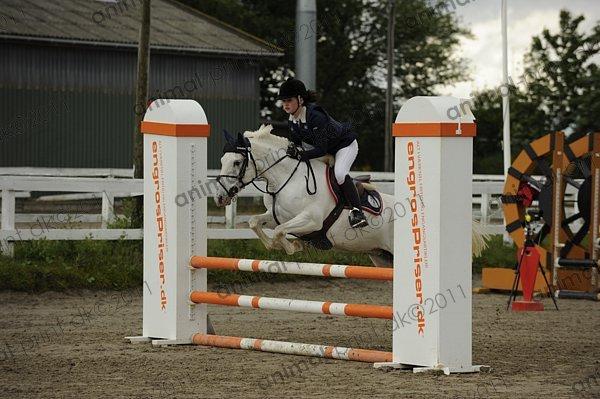 Anden særlig race Fantazy billede 29