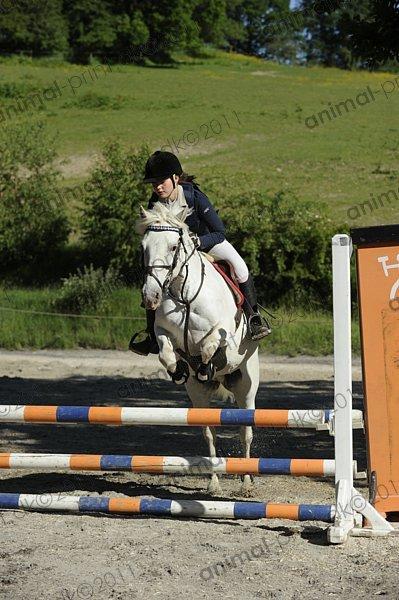 Anden særlig race Fantazy billede 30