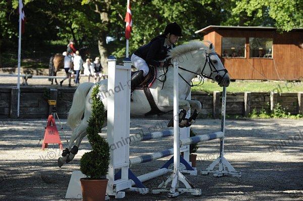 Anden særlig race Fantazy billede 31