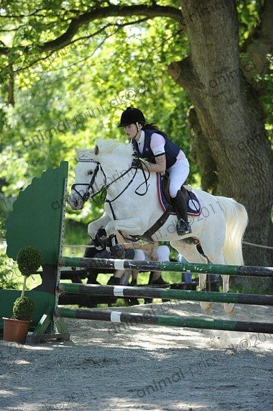 Anden særlig race Fantazy billede 32