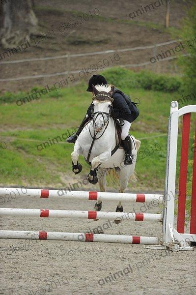 Anden særlig race Fantazy billede 33