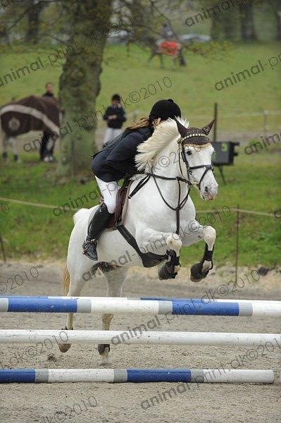 Anden særlig race Fantazy billede 34