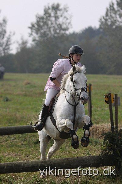 Anden særlig race Fantazy billede 35