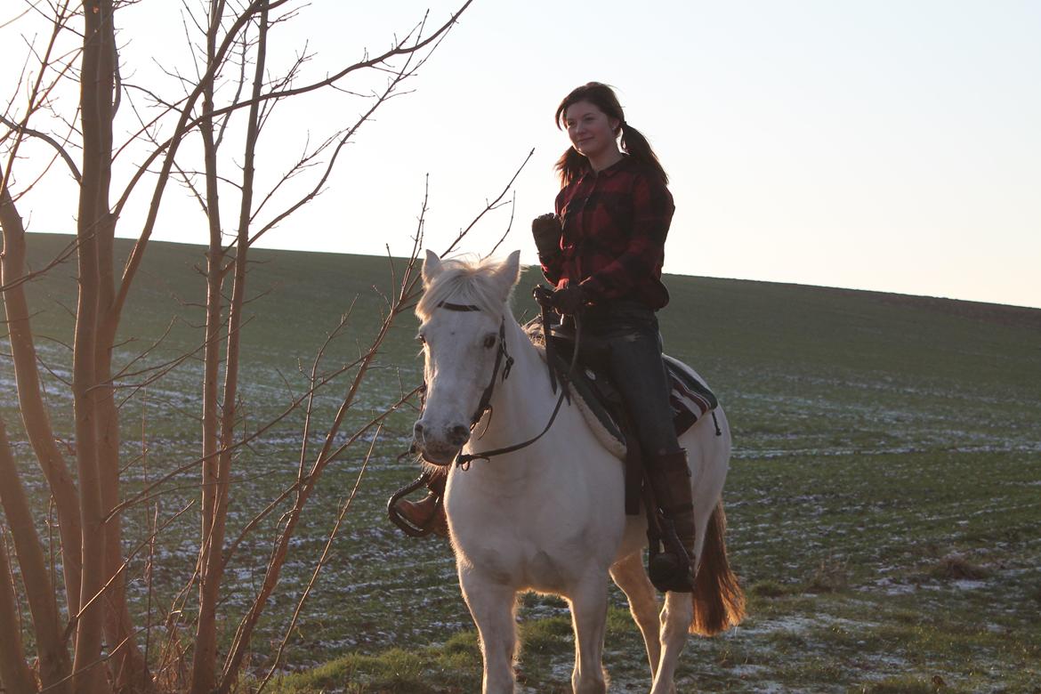 Anden særlig race Fantazy billede 37