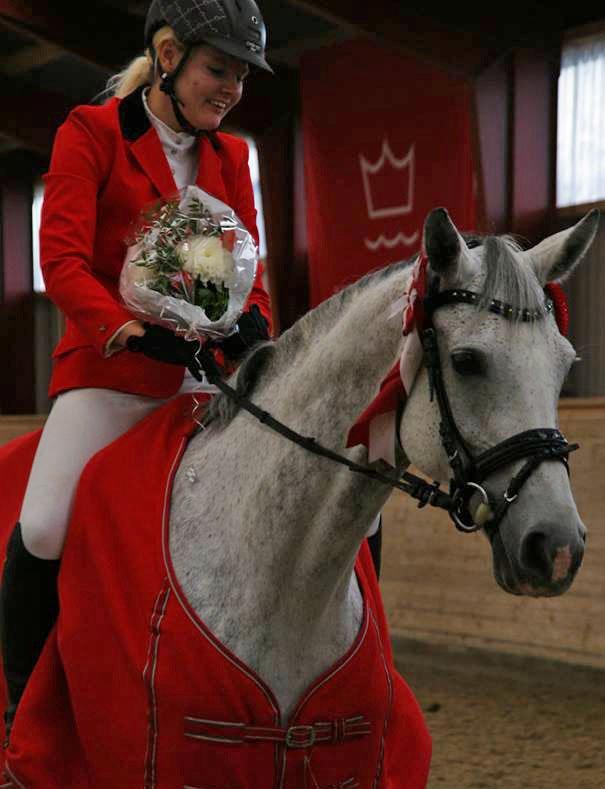 Hannoveraner Grey Lady - Flot, Lady! <3 Klubmesterskab 2013  billede 4