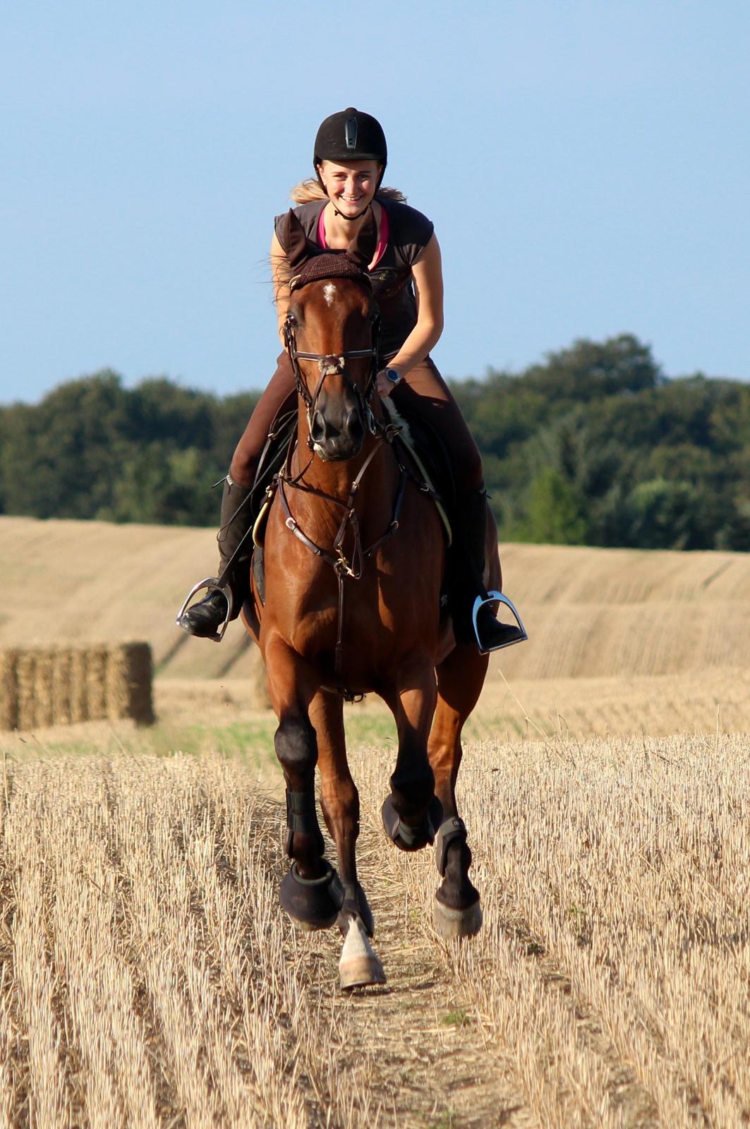 Holstener Møldams Columbus - Stubfræs! :D  billede 1