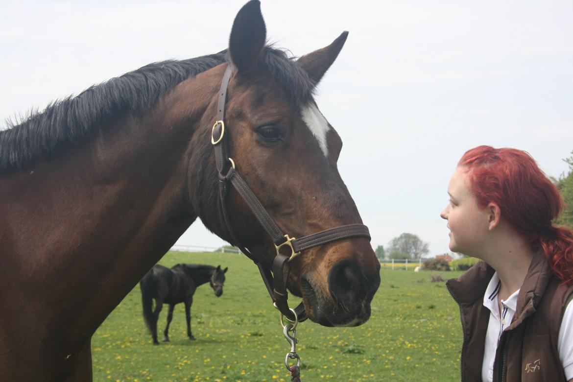 Anden særlig race Damiro Star billede 4