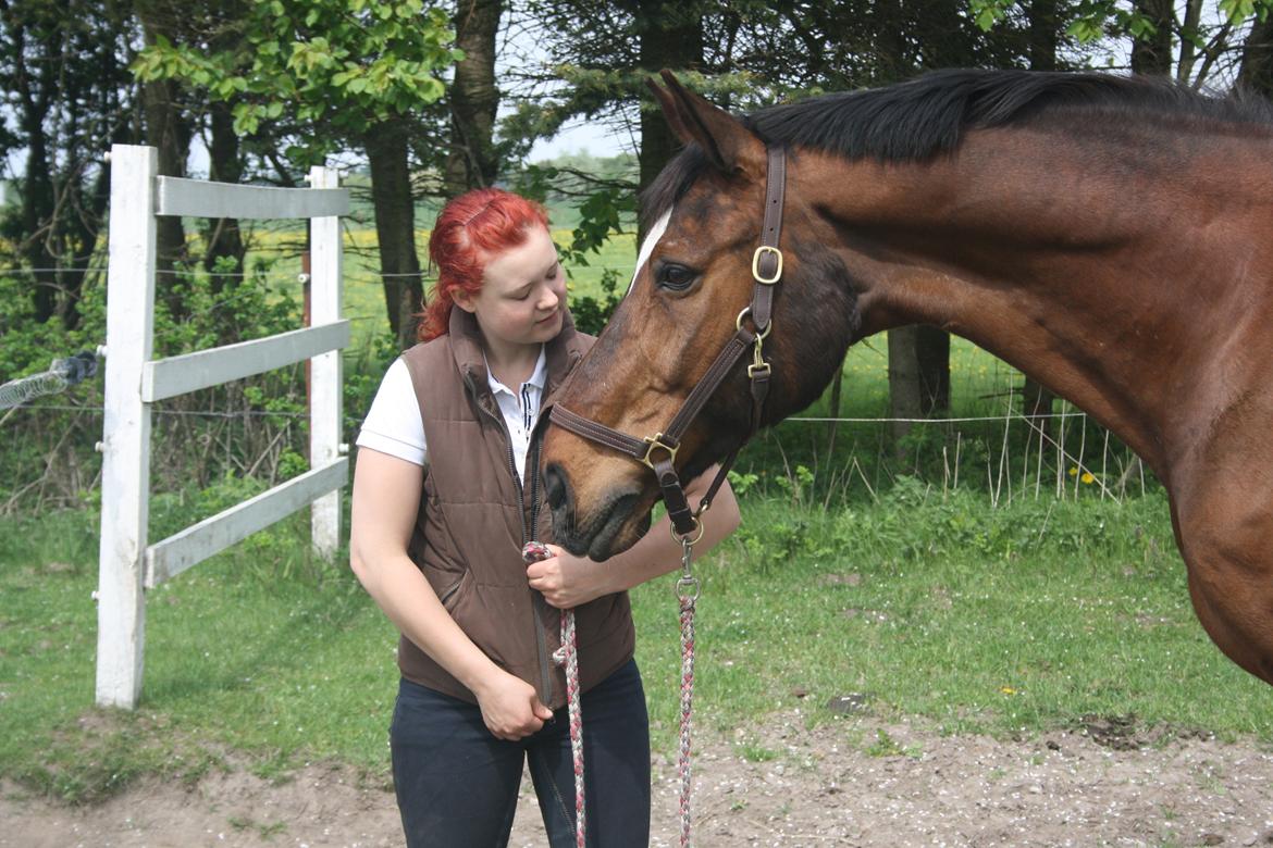 Anden særlig race Damiro Star billede 5