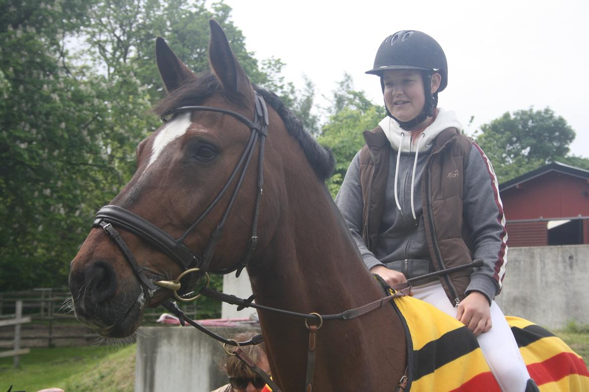 Anden særlig race Damiro Star billede 6