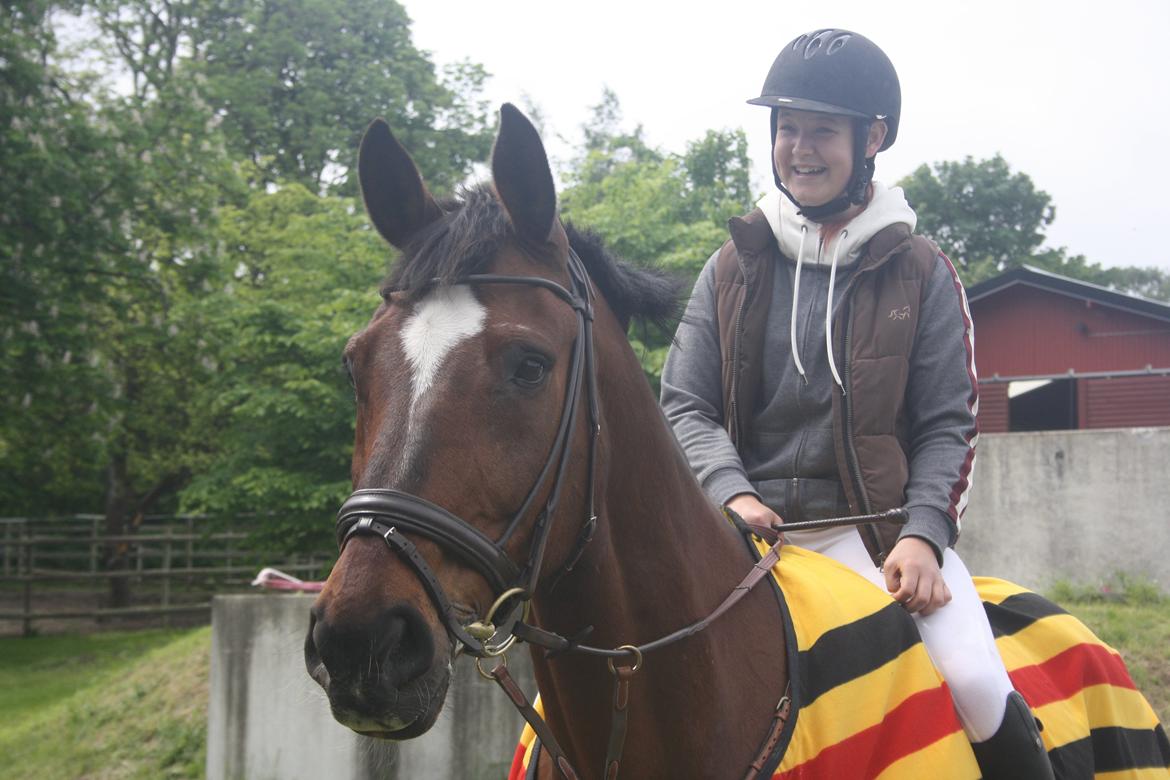 Anden særlig race Damiro Star billede 7