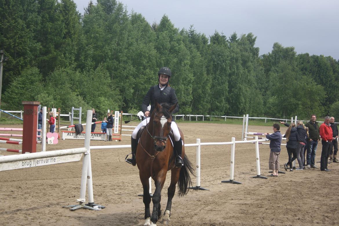 Anden særlig race Damiro Star billede 11