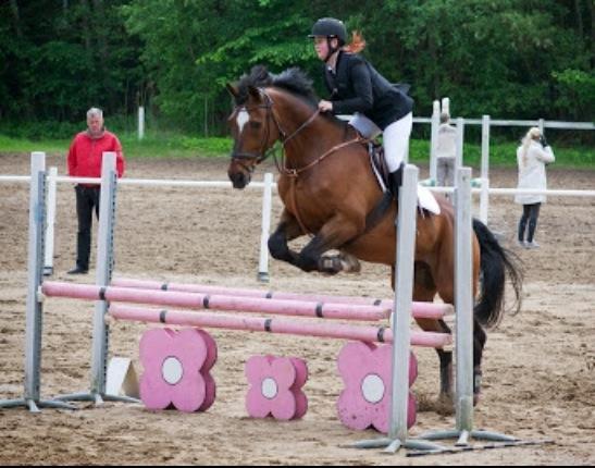 Anden særlig race Damiro Star billede 16