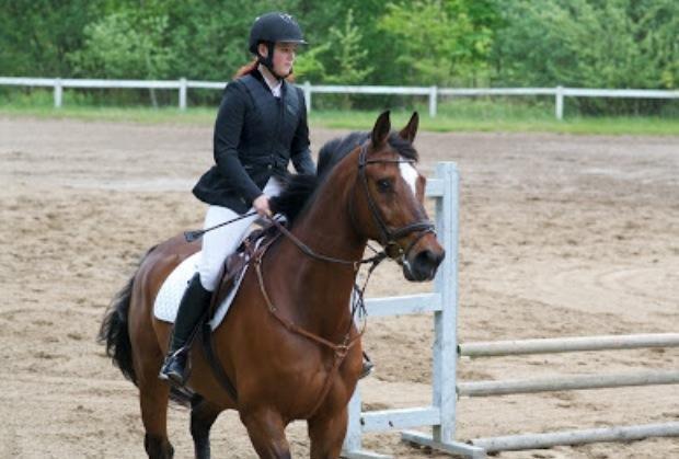 Anden særlig race Damiro Star billede 17