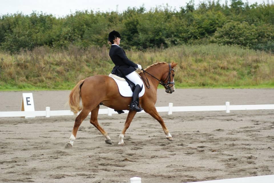 DSP Foxtrot billede 20