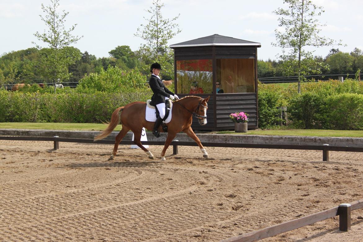 DSP Foxtrot billede 5