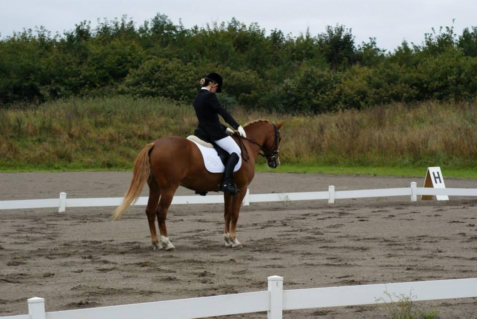 DSP Foxtrot billede 8