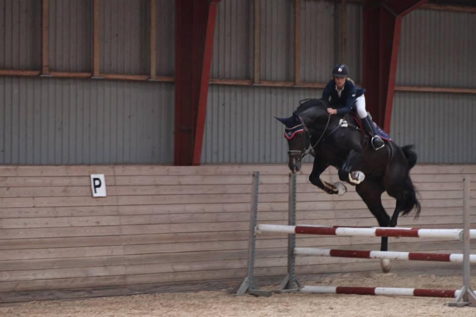 Holstener Cosby - 90cm med Mille september 13 billede 27