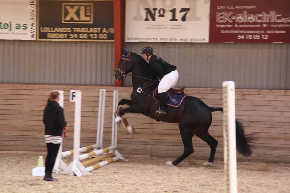 Holstener Cosby billede 30