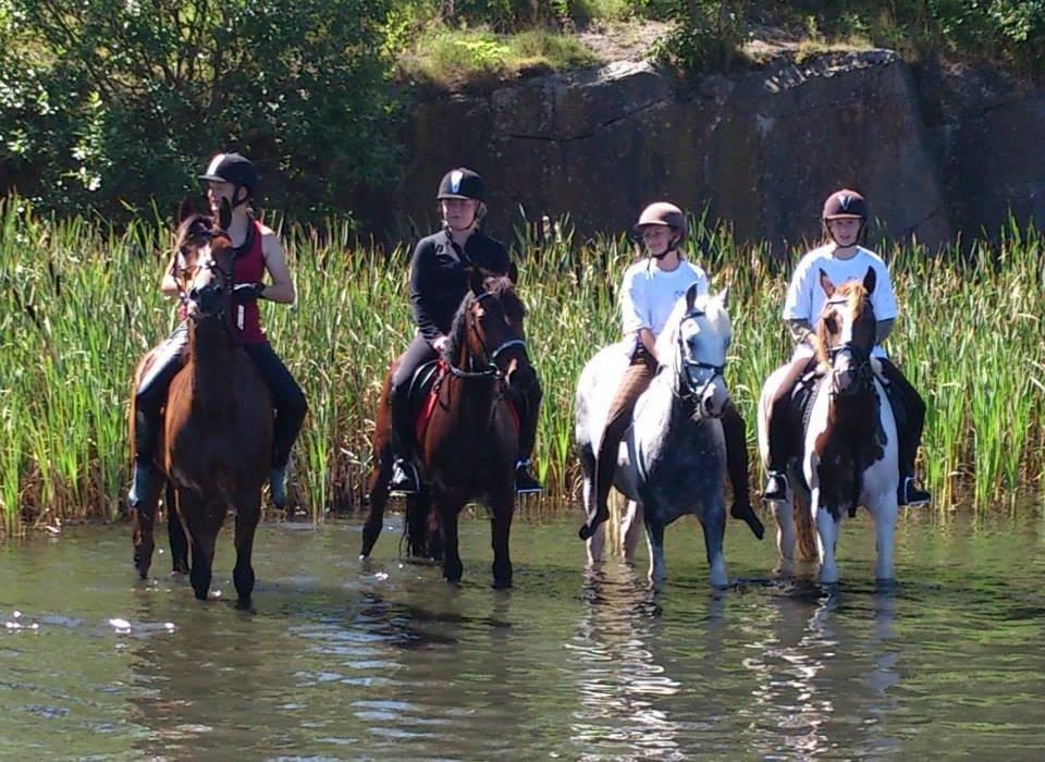 Anden særlig race Rico (nuller) <3 - ride lejr med de bedste tøser! <3<3 billede 4