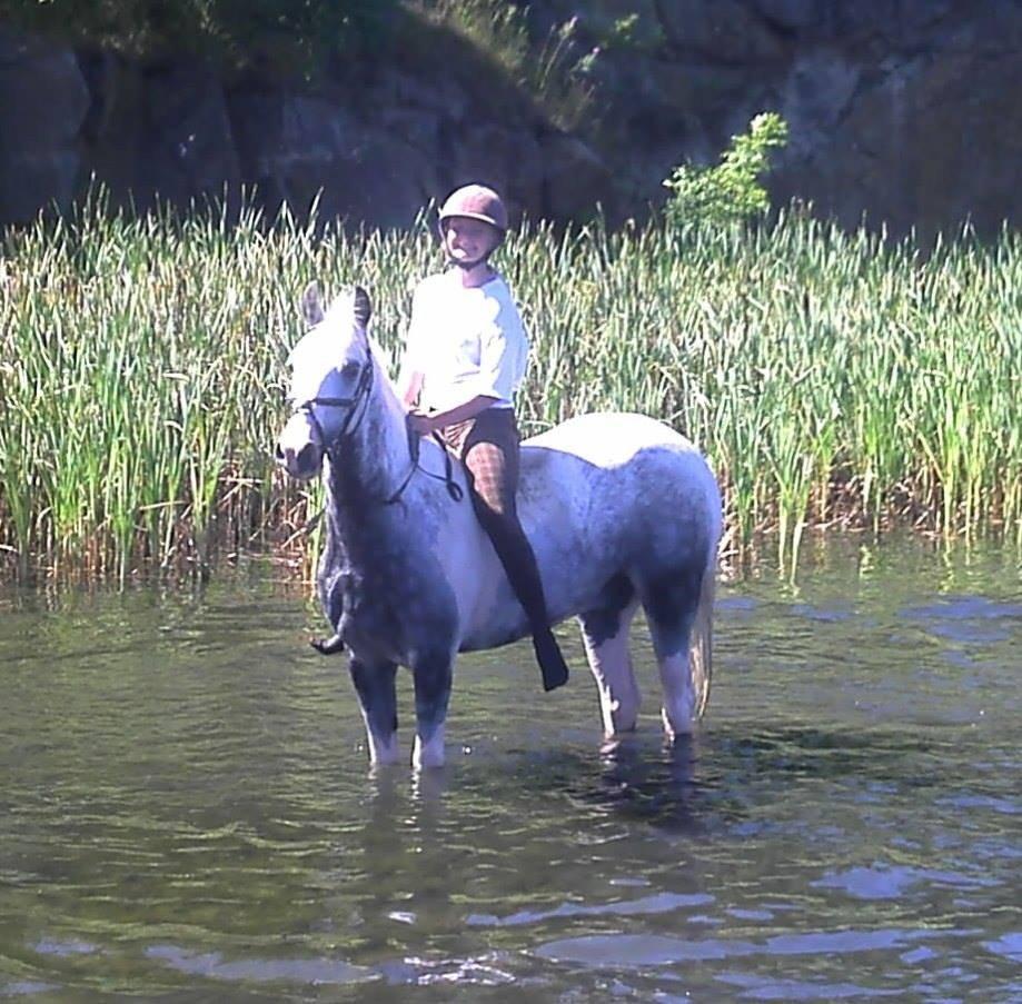 Anden særlig race Rico (nuller) <3 - du er mit et og alt skat! <3<3 billede 8