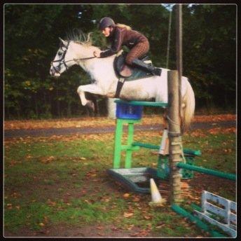 Anden særlig race Müseli<3 ( bornholms og klub mester ) - 140! <3 fuck du syg! <3 billede 3