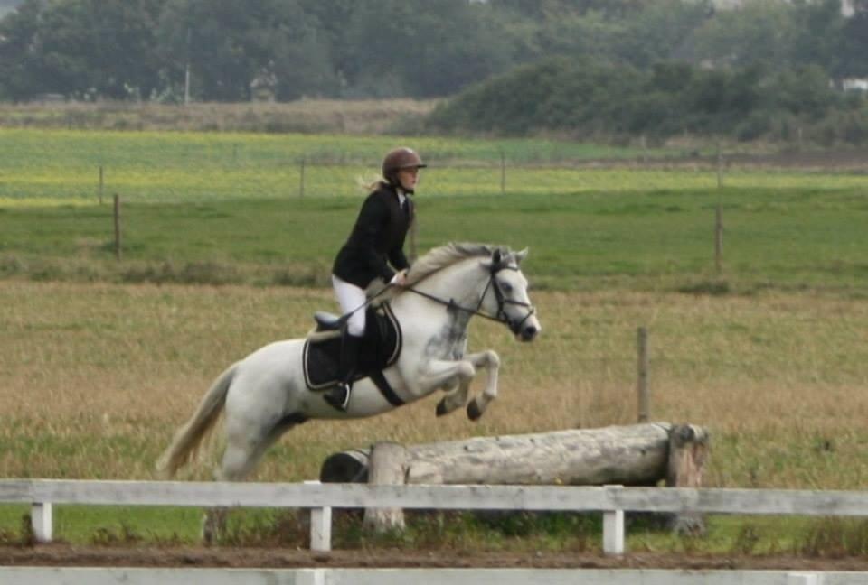 Anden særlig race Müseli<3 ( bornholms og klub mester ) billede 12