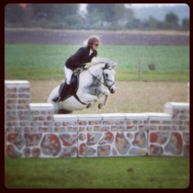 Anden særlig race Müseli<3 ( bornholms og klub mester ) - 80 derby! vinder <3<3 billede 8