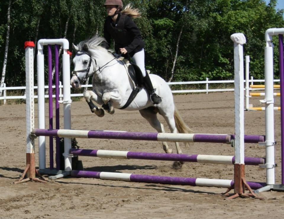 Anden særlig race Müseli<3 ( bornholms og klub mester ) - bassen! <3<3 billede 18