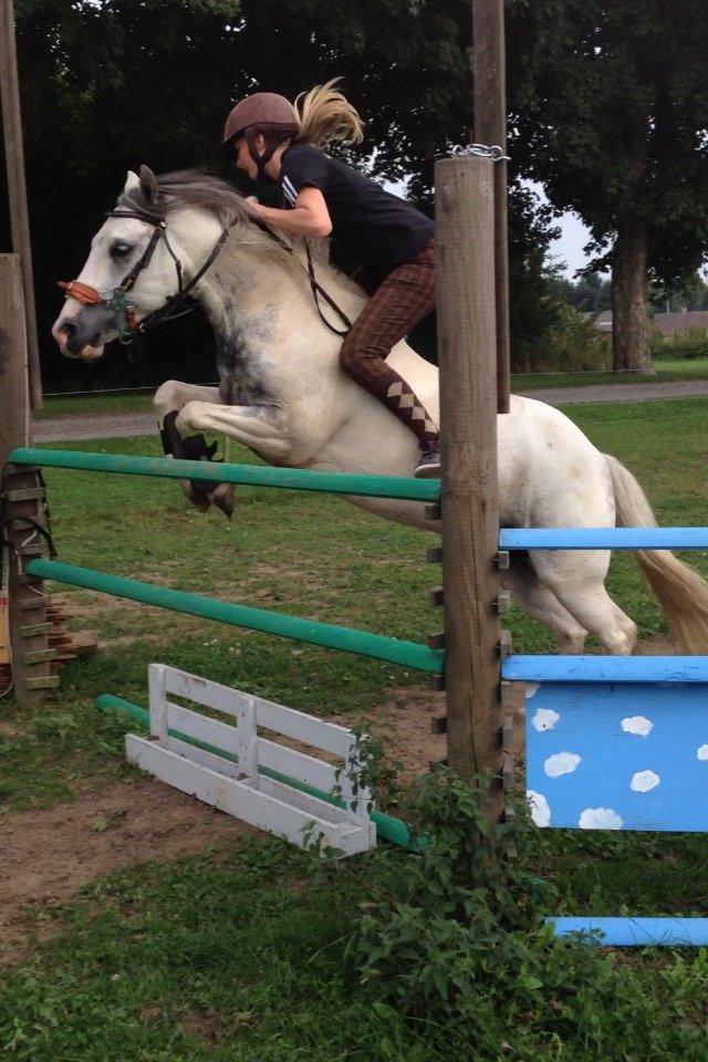 Anden særlig race Müseli<3 ( bornholms og klub mester ) - 110! <3<3 billede 23