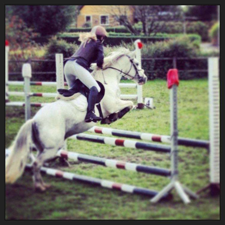 Anden særlig race Müseli<3 ( bornholms og klub mester ) - klubmester i spring<3<3 billede 24