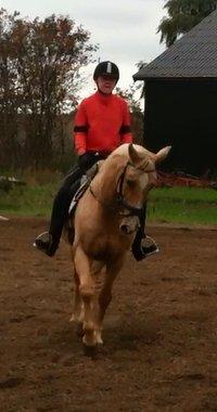 Palomino Atomic billede 15