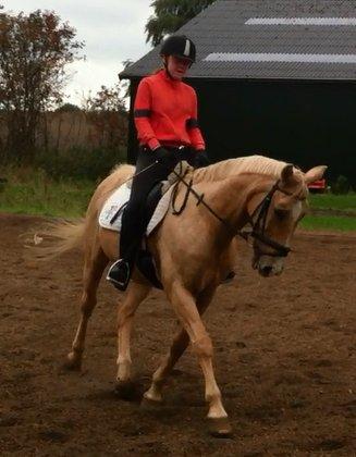 Palomino Atomic billede 16