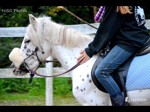 Knabstrupper Dolly !My everything! - Bedste baby billede 30